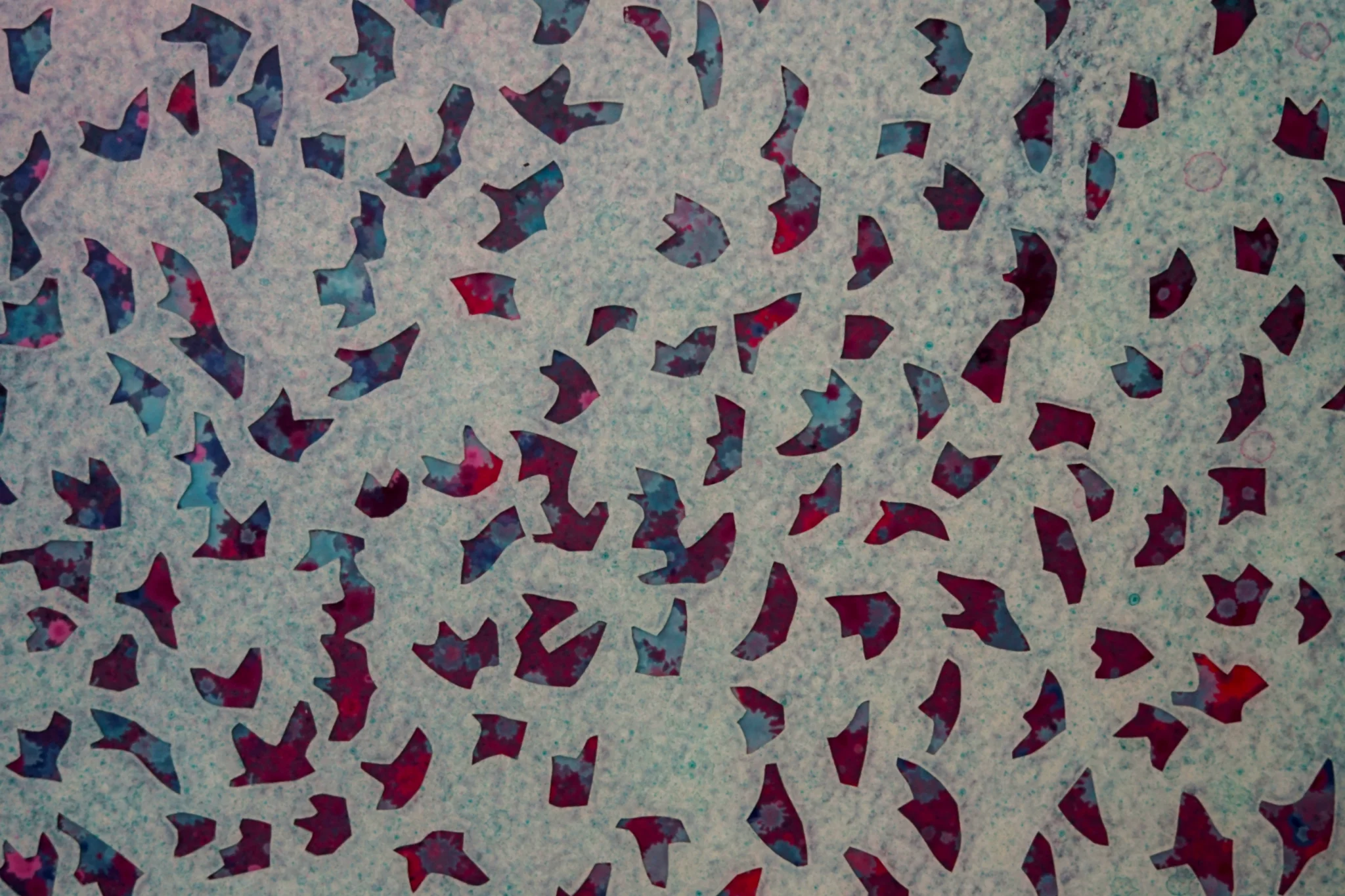 Opening Night: Celestial Noise by Jeff Sylvester