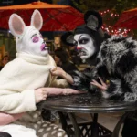 Theatre Network Announces Season 51 Mainstage Lineup