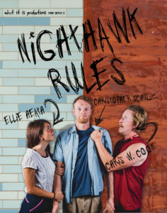 EDIT Nighthawk Rules - Poster - dbphotographics copy